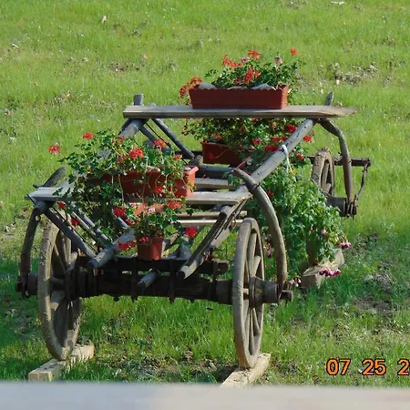 Pensjonat Casutele Din